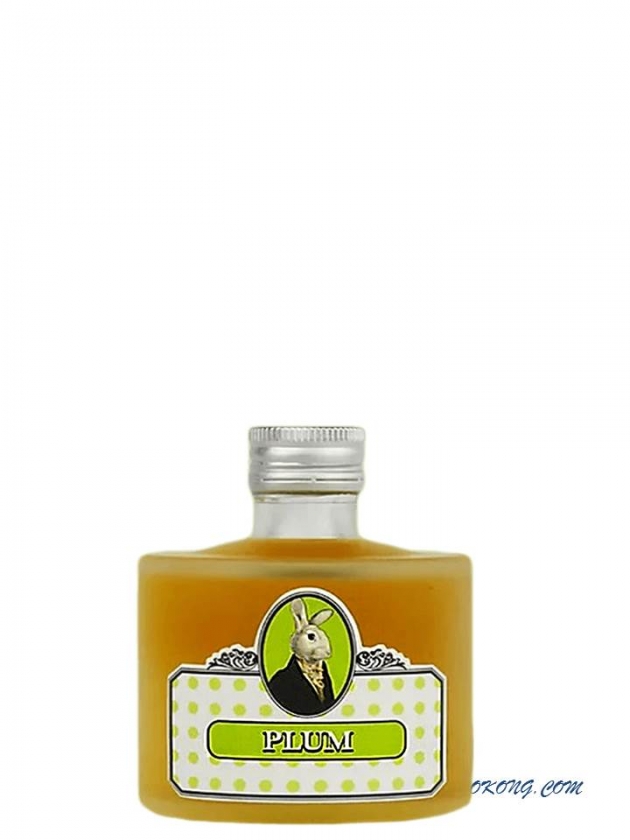 龐尼維爾-梅酒 100ML 1